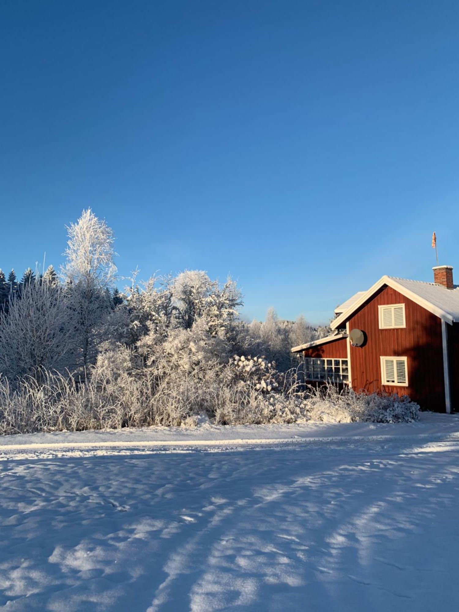 Warm Beheiztes Gemuetliches Haus In Der Natur Sunne Eksteriør bilde